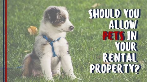 pets in rental properties law.